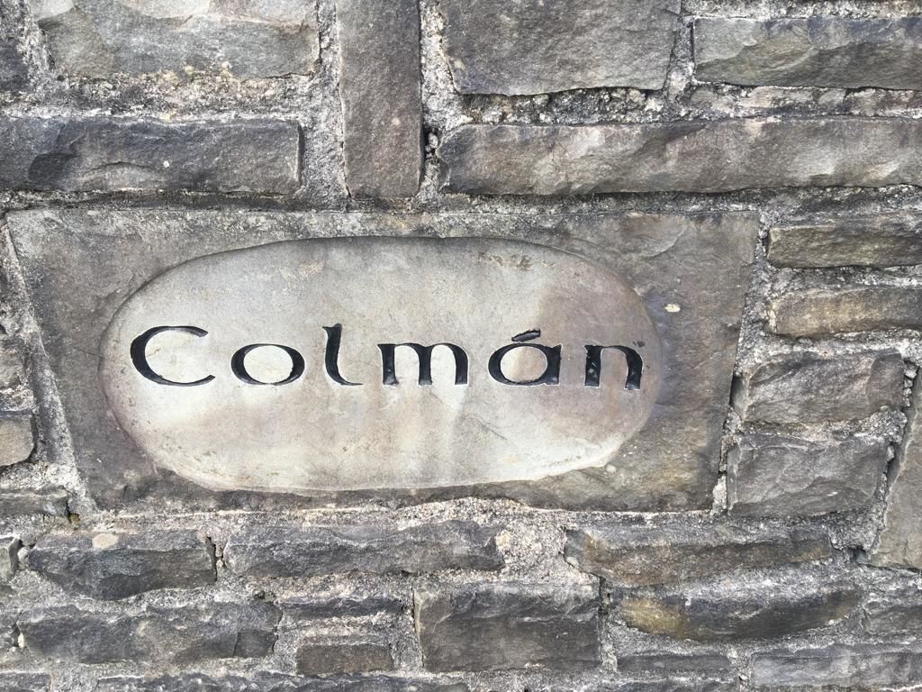 Проживание в семье Colmán House Kilmihil-19